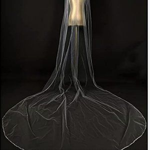 1 Tier Cathedral Length Veil with Delicate Rhinestone Trim
